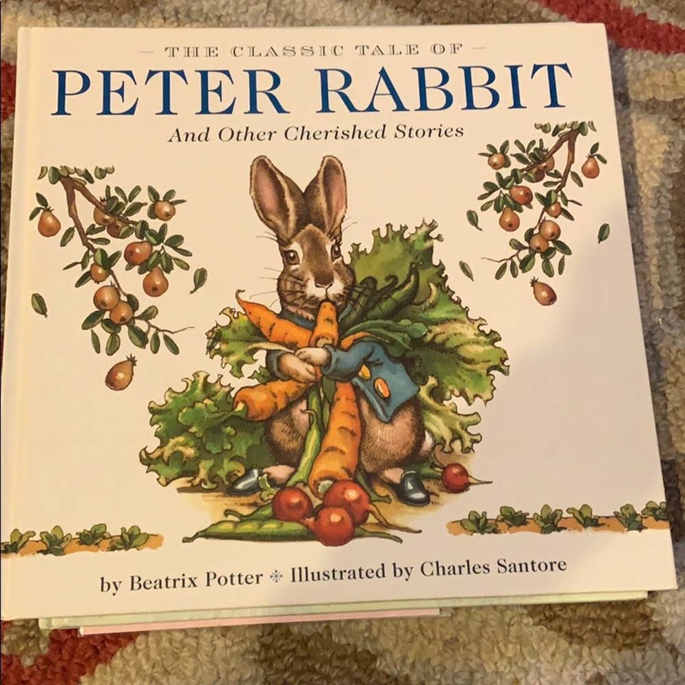 New Beautiful Peter Rabbit book & Easter Book - Picture 4 of 5